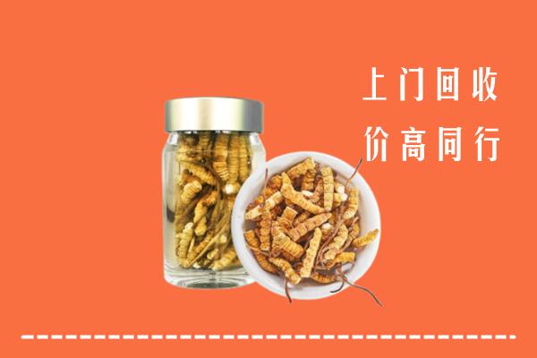 廊坊回收冬虫夏草
